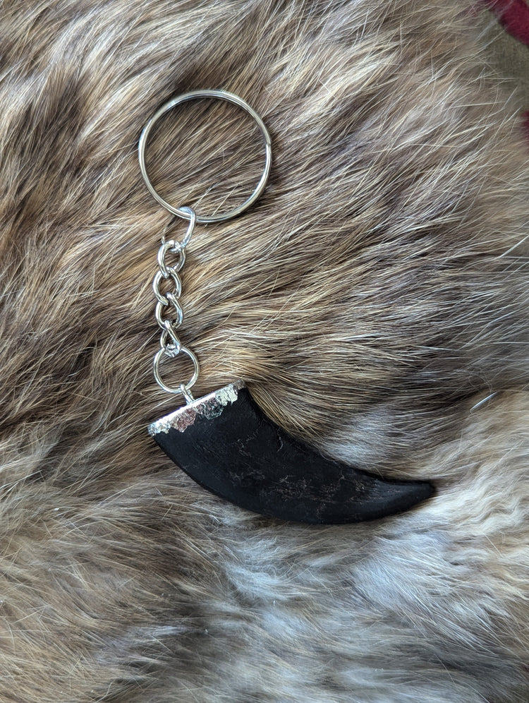 Hides & Taxidermy
