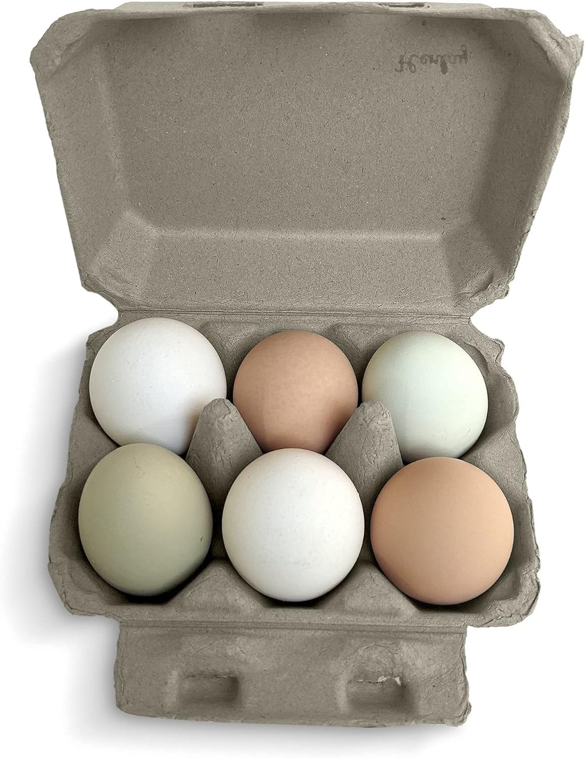 Half Dozen Egg Cartons- Blank Flat Top Six Pack (20)