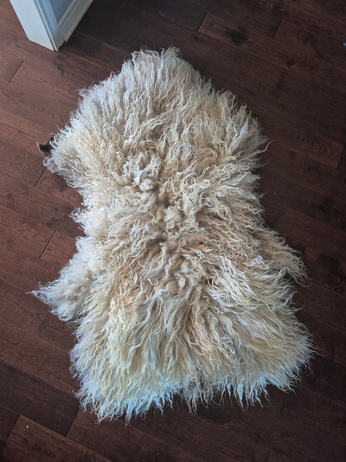 Shetland Sheepskin Rug (Max)