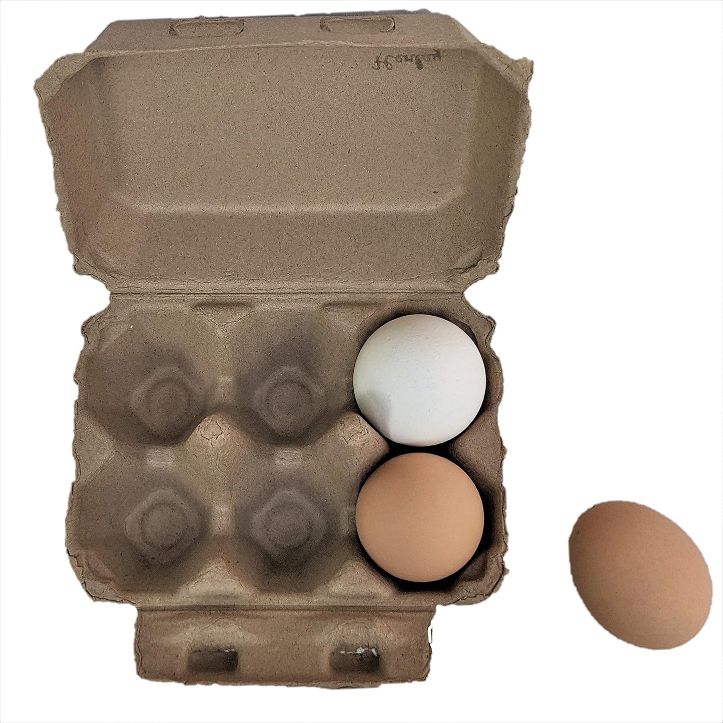Half Dozen Egg Cartons- Blank Flat Top Six Pack (100)
