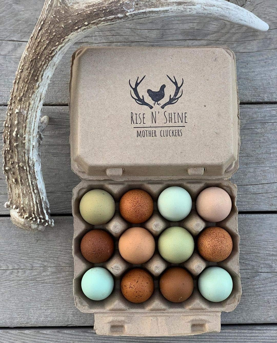 Vintage Blank Egg Cartons- Classic 3X4 Style Holds 12 Large Eggs, Sturdy Design Made from Recycled Cardboard (75) Tan