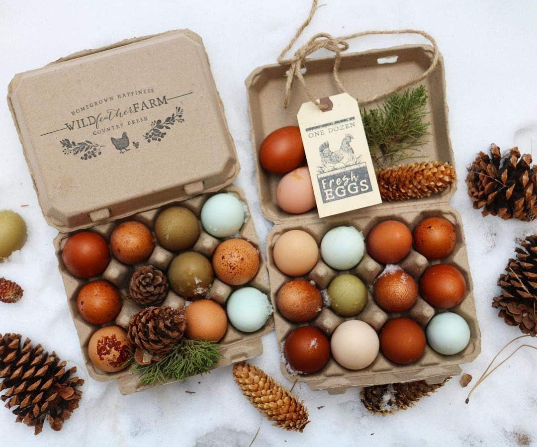 Vintage Blank Egg Cartons- Classic 3X4 Style Holds 12 Large Eggs, Sturdy Design Made from Recycled Cardboard (75) Tan