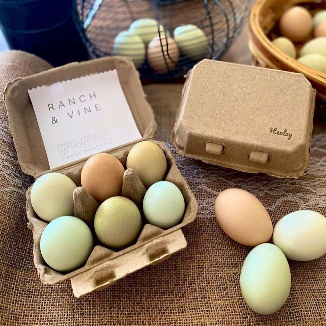 Half Dozen Egg Cartons- Blank Flat Top Six Pack (100)