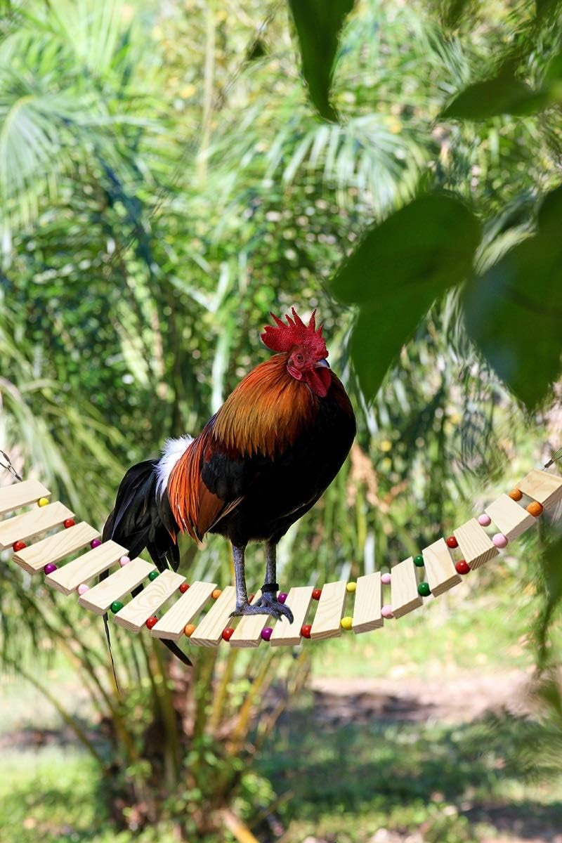 Chicken Coop Toy Chicken Toys for Hens Natural Wood Chicken Ladder Chicken Swing Chicken Perch for Birds Poultry Rooster Chicks S