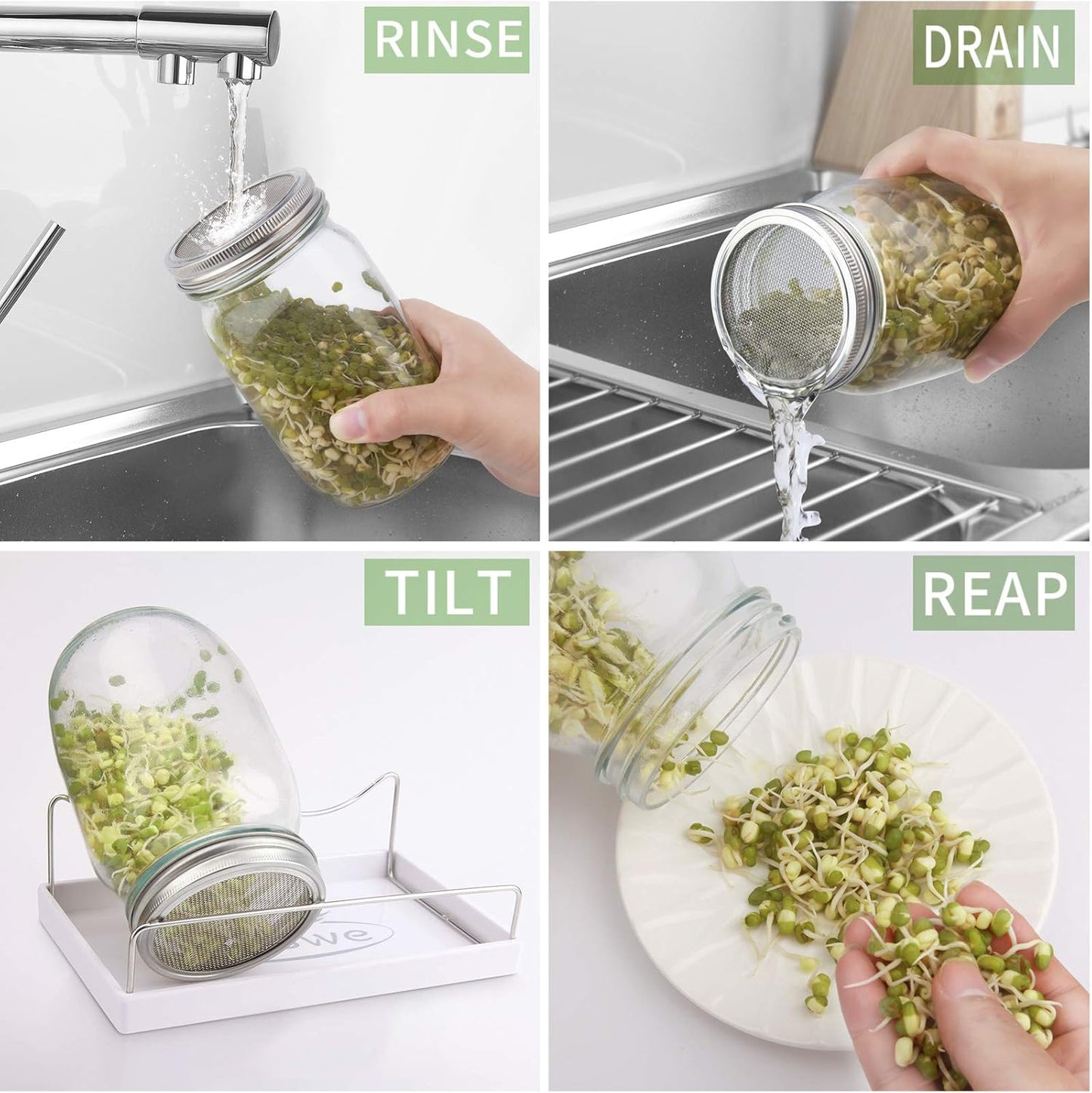 Sprouting Jar Kit-2 Wide Mouth Quart Mason Jars with 316 Stainless Steel Screen Sprout Lids,Melamine Tray,Stand and Canning Brush | Seed Sprouter Set for Growing Broccoli, Alfalfa, Mung Bean (White)