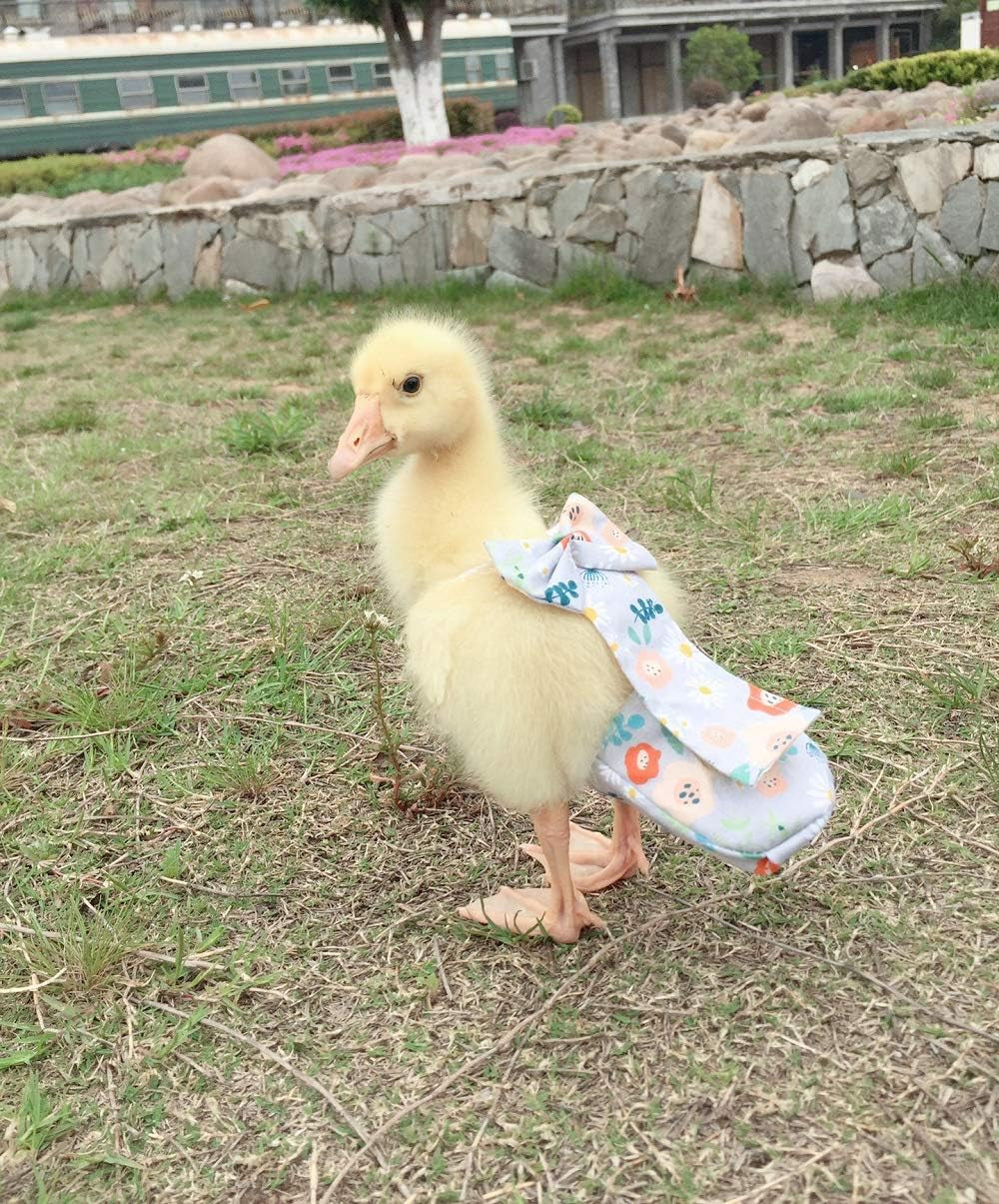 Duck Diapers, Chicken Diapers, Special Diapers for Poultry, Chicken, Duck and Goose Waterproof, Adjustable, Washable and Reusable Diapers,Poultry Supplies, Duck Supplies (L:250克-350克)