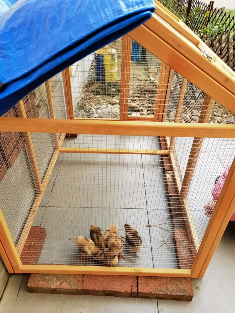 Wooden Chicken Cage, Chicken Coop, Chicken Coop, House, Domestic Fence, Wooden Display, Parrot Cage, Duck Cage, Pigeon C