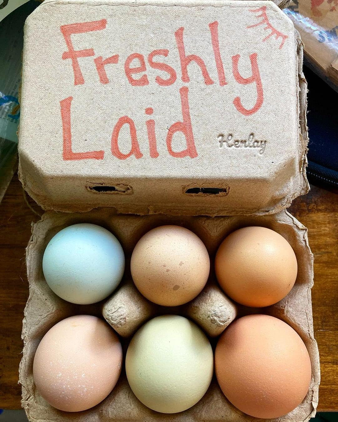 Half Dozen Egg Cartons- Blank Flat Top Six Pack (20)