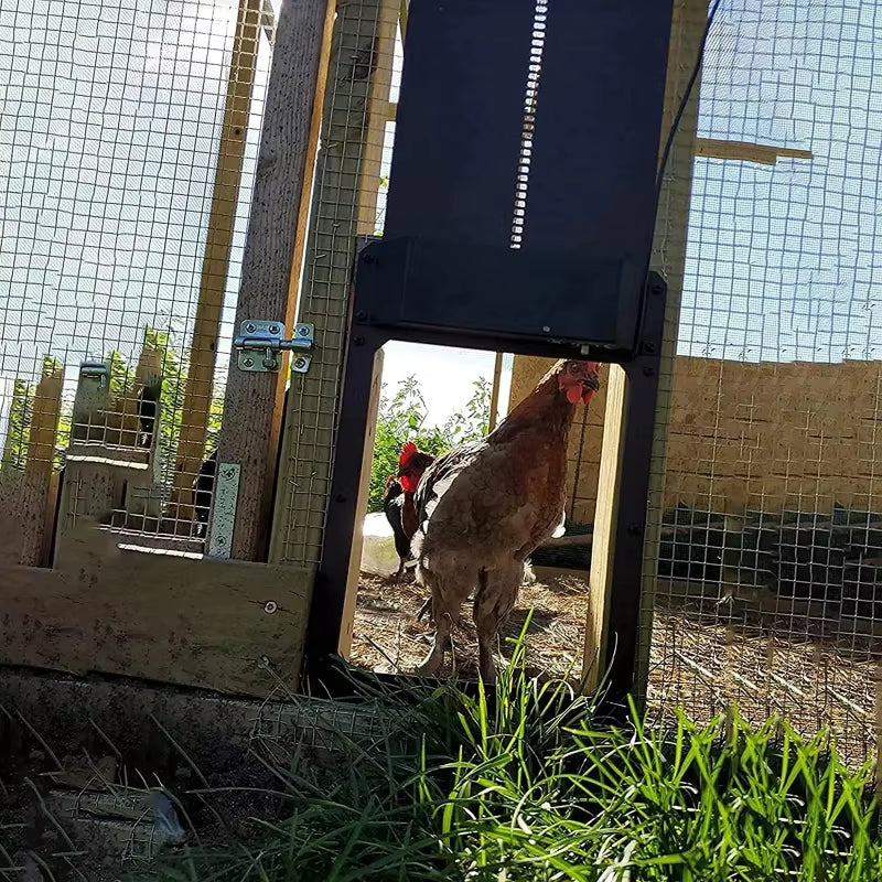Automatic Chicken Coop Door Light-Sensitive Automatic Chicken House Door High Quality and Practical Chicken Pets Hen Cages Door