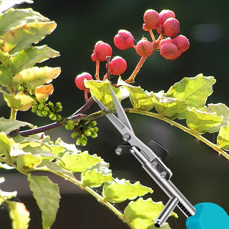 New Picking Prickly Ash Fruit Scissors Picking Peppers Goji Berries Flowers Shears Bud Tip Gardening Pruning Shears Hand Tools