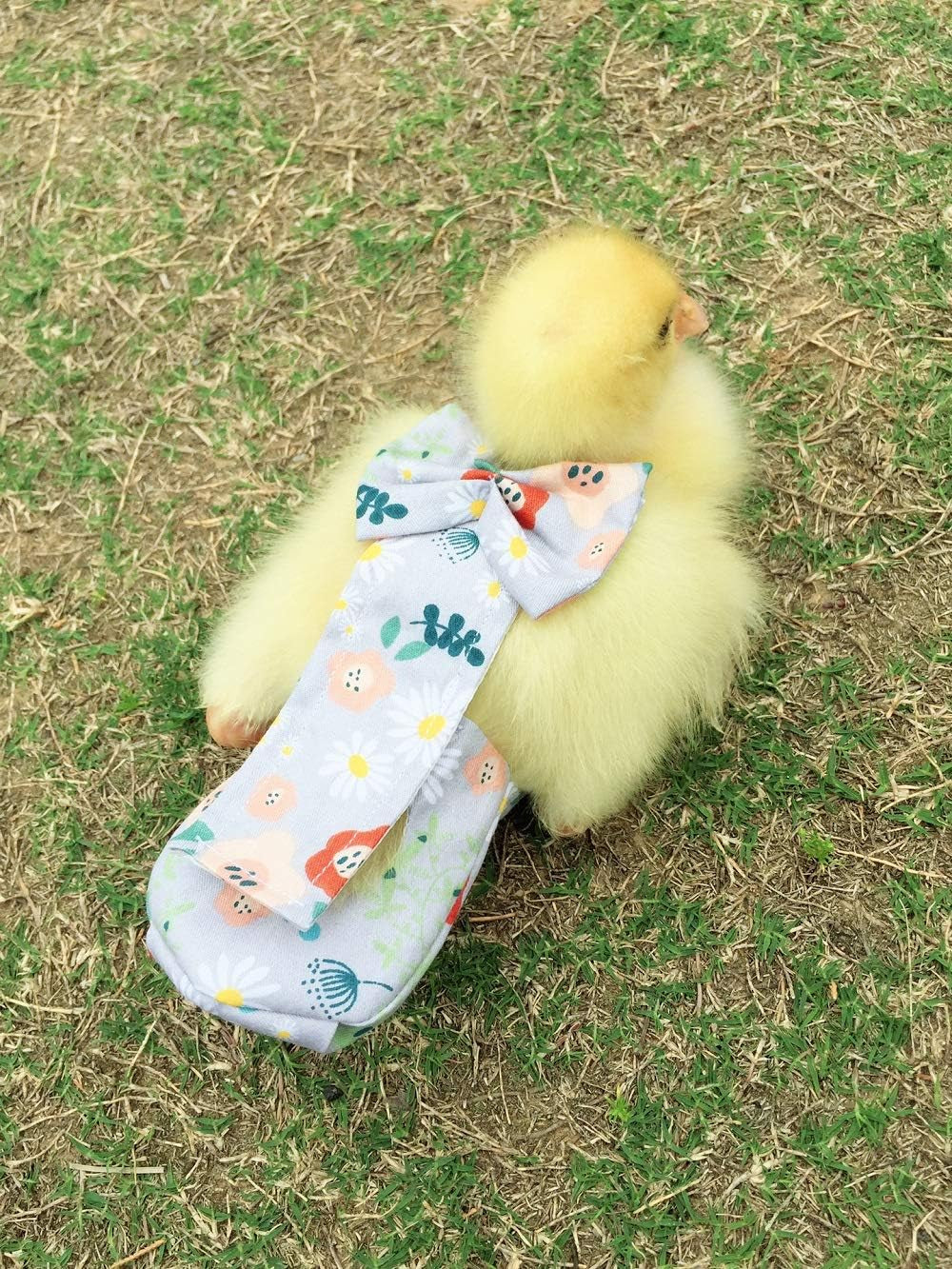 Duck Diapers, Chicken Diapers, Special Diapers for Poultry, Chicken, Duck and Goose Waterproof, Adjustable, Washable and Reusable Diapers,Poultry Supplies, Duck Supplies (L:250克-350克)