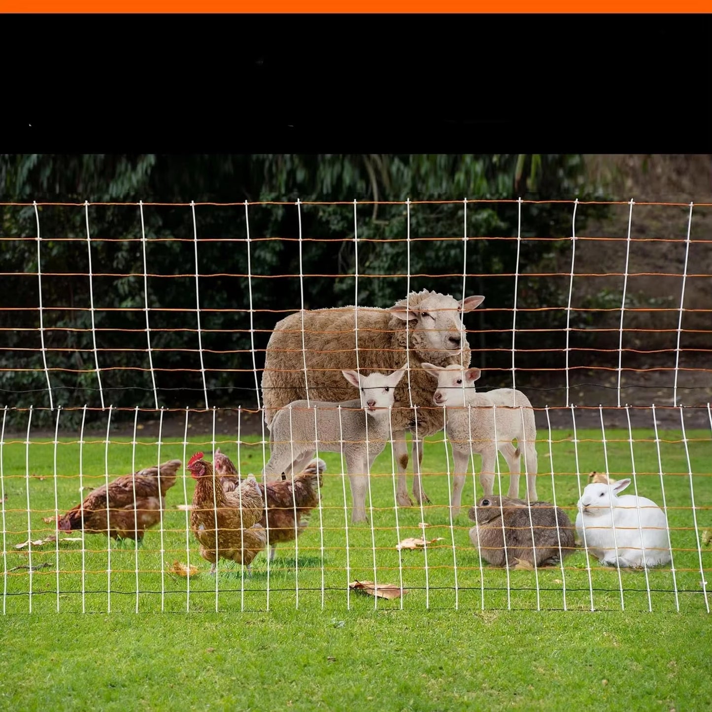 Premium Semi-Rigid Electric Poultry Netting Fence 48" X 164' - Portable Pre-Assembled Electric Fencing for Chicken Sheep Goats