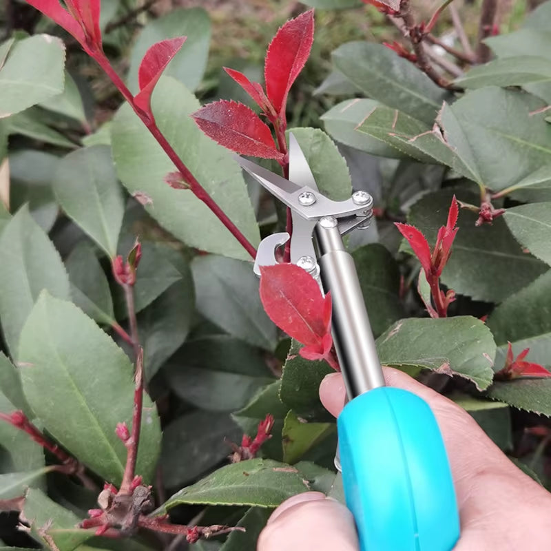 New Picking Prickly Ash Fruit Scissors Picking Peppers Goji Berries Flowers Shears Bud Tip Gardening Pruning Shears Hand Tools