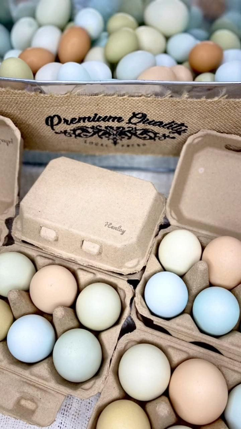 Half Dozen Egg Cartons- Blank Flat Top Six Pack (20)