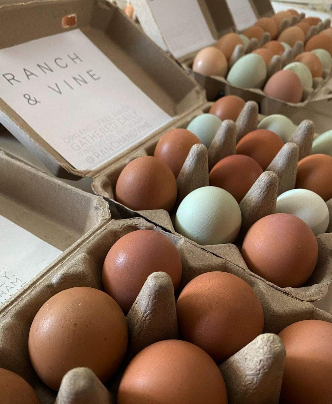 Vintage Blank Egg Cartons- Classic 3X4 Style Holds 12 Large Eggs, Sturdy Design Made from Recycled Cardboard (75) Tan