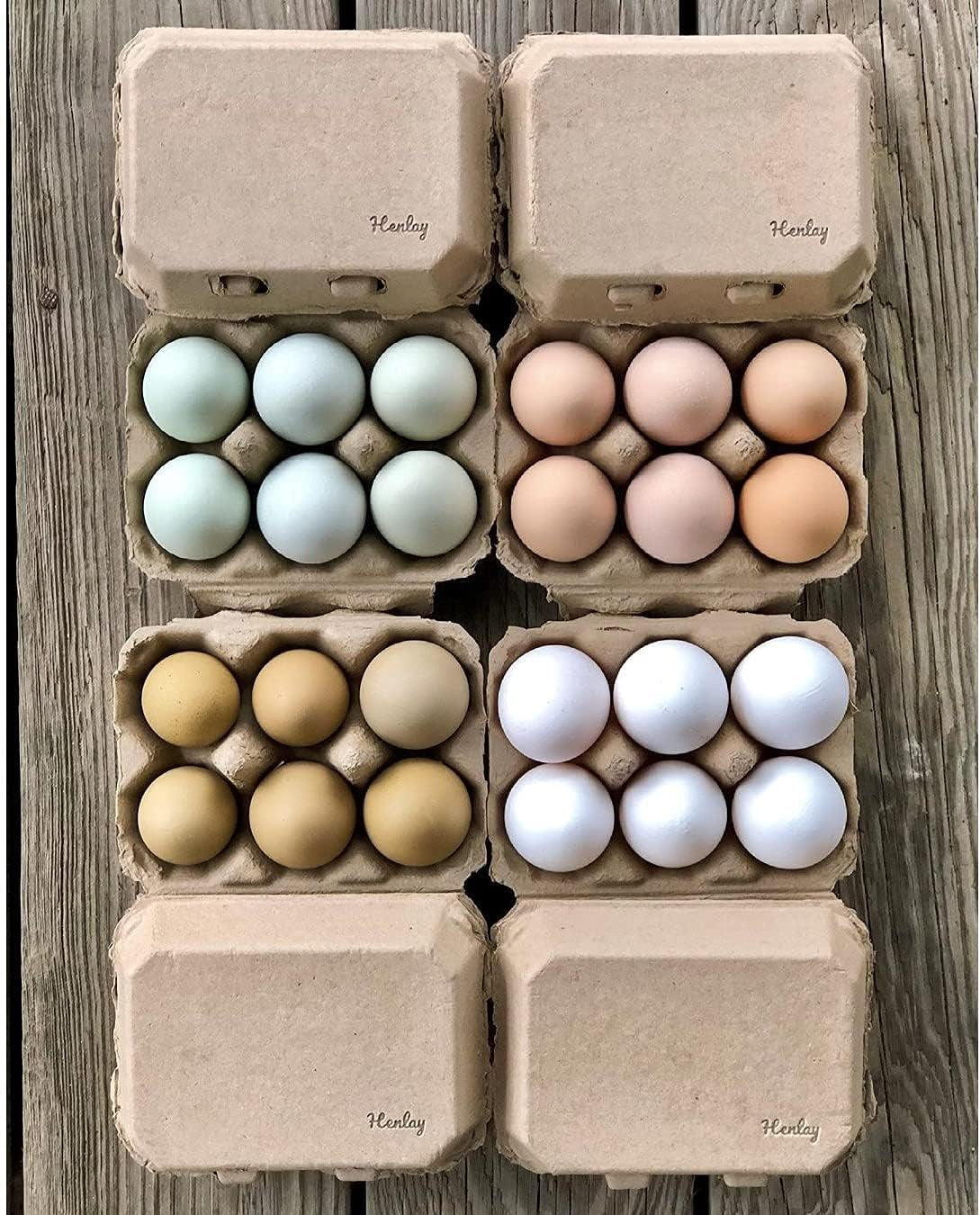 Half Dozen Egg Cartons- Blank Flat Top Six Pack (20)