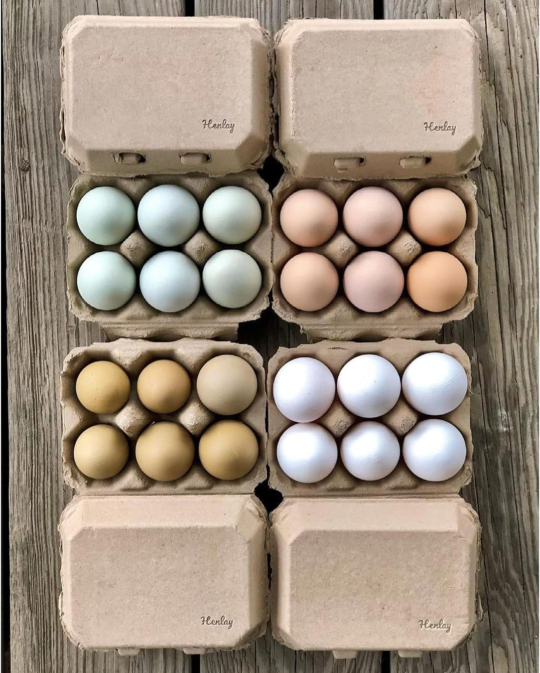 Half Dozen Egg Cartons- Blank Flat Top Six Pack (100)