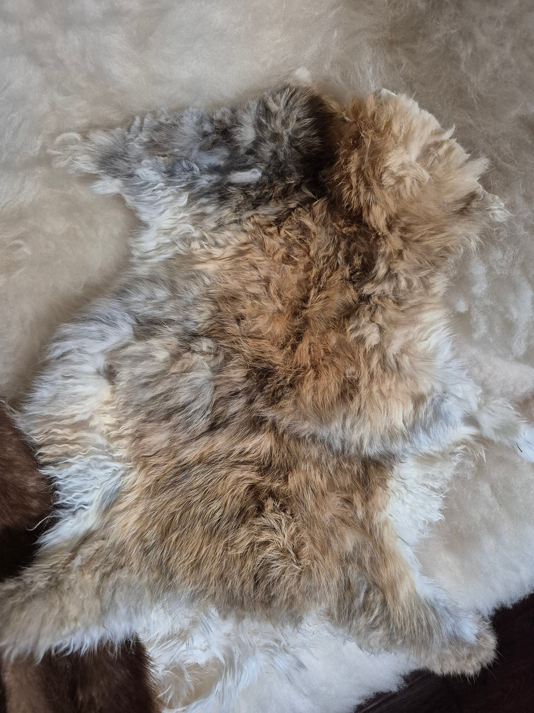 Tanning Rabbit Pelts: A Simple Egg Yolk Method – Carstens Ranch