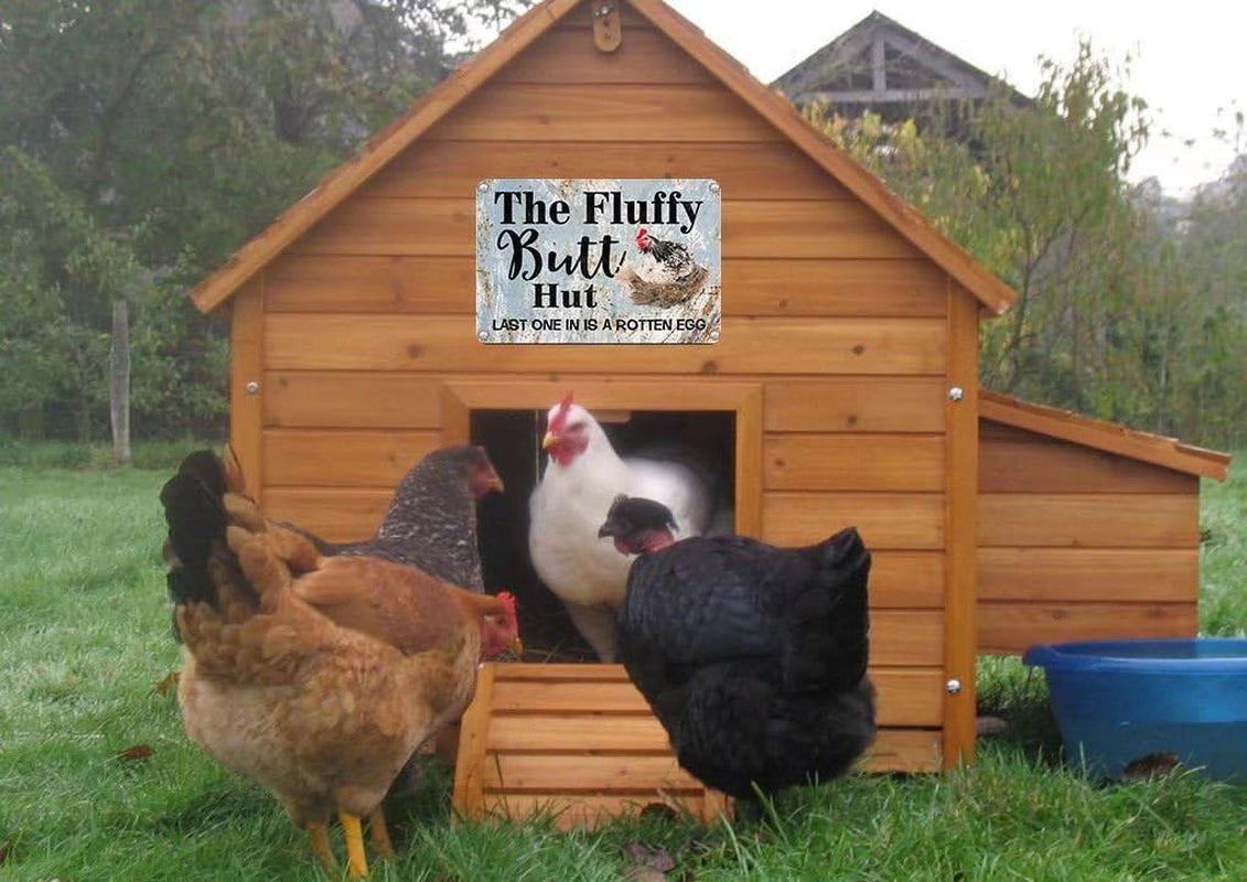 Funny Chicken Coop Sign Fluffy Hut Last One in Is a Rotten Egg 12 Inch X8 Inch Chicken Metal Tin Sign Wall Plaque for Farm Decor Coop Rooster Decor Chicken Coop Decor