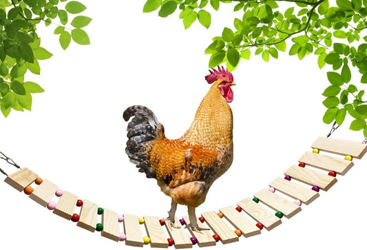 Chicken Coop Toy Chicken Toys for Hens Natural Wood Chicken Ladder Chicken Swing Chicken Perch for Birds Poultry Rooster Chicks S