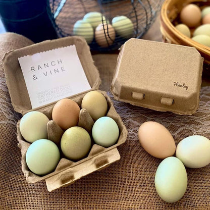 Half Dozen Egg Cartons-  Blank Flat Top Six Pack (20)