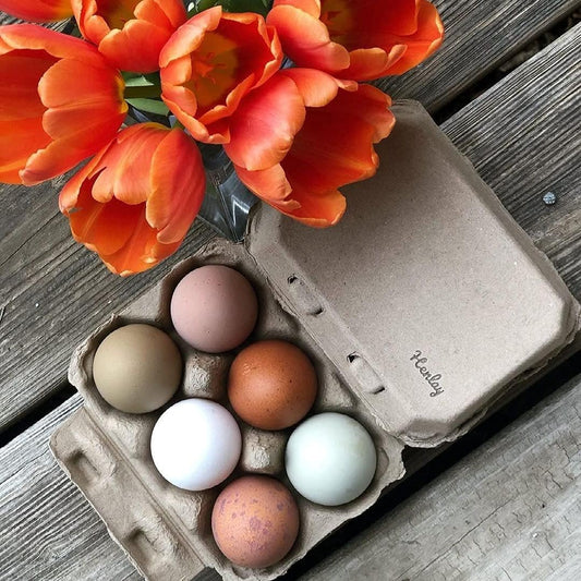 Half Dozen Egg Cartons-  Blank Flat Top Six Pack (20)