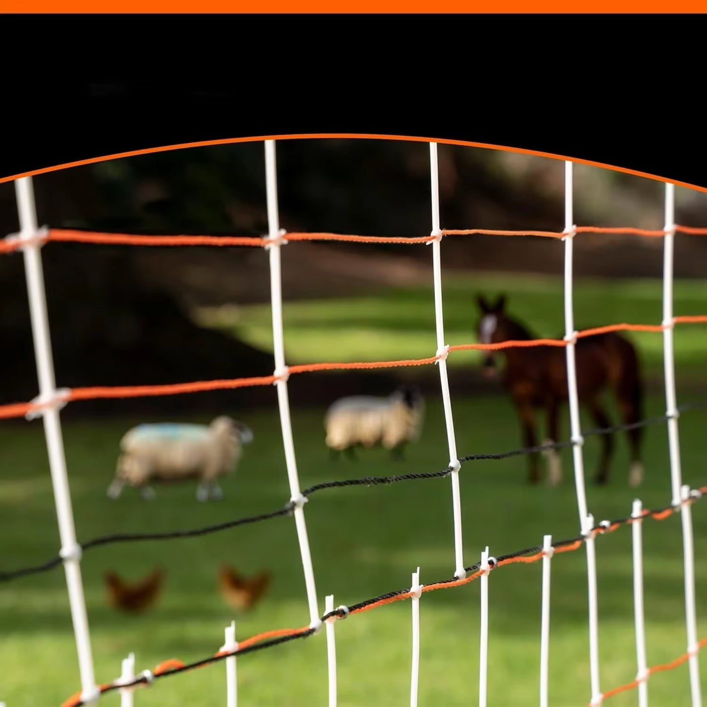 Premium Semi-Rigid Electric Poultry Netting Fence 48" X 164' - Portable Pre-Assembled Electric Fencing for Chicken Sheep Goats