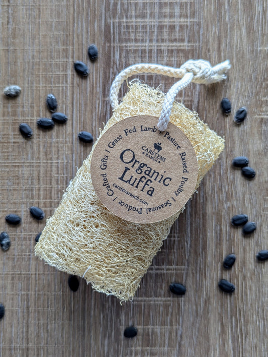 Organic Luffa Sponge