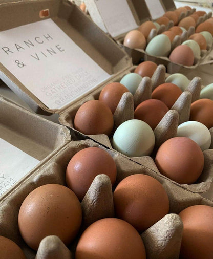 Vintage Blank Egg Cartons- Classic 3X4 Style Holds 12 Large Eggs, Sturdy Design Made from Recycled Cardboard (75) Tan