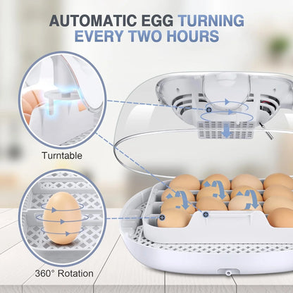 Digital Display Automatic 55 Chicken Egg Incubator with Water Feeders & Spray Bottle